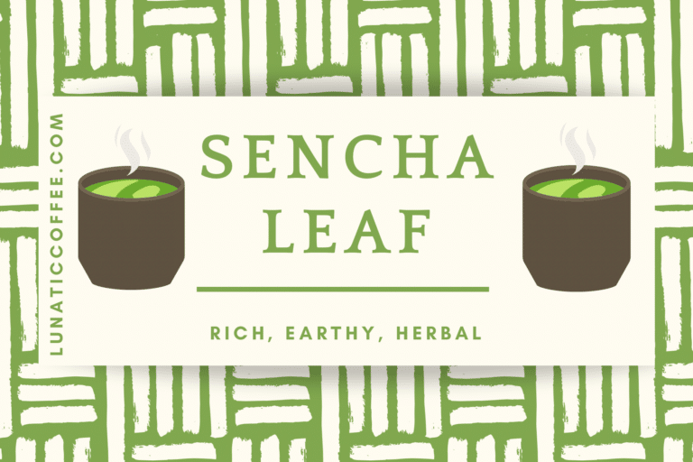 Sencha