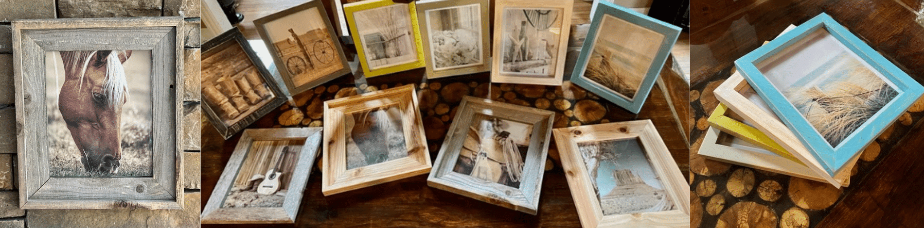 Sandpiper Frames