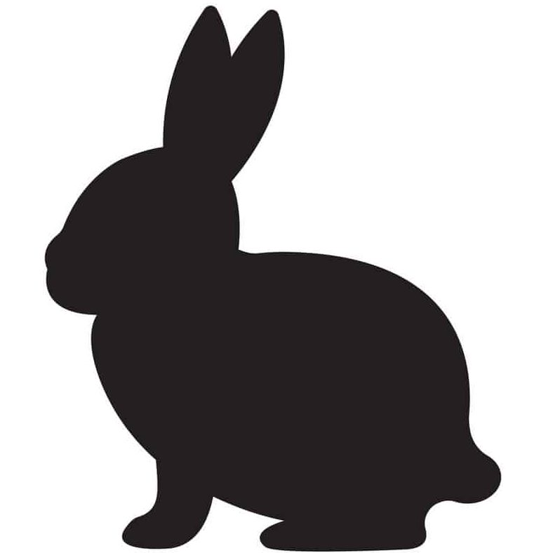 The White Rabbit Stores