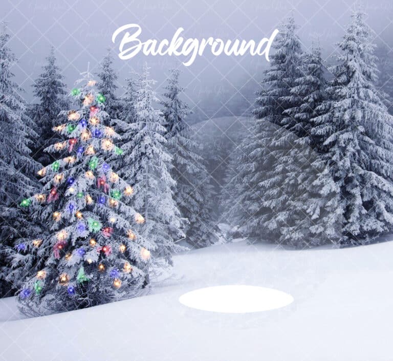 Snowman snow globe overlay