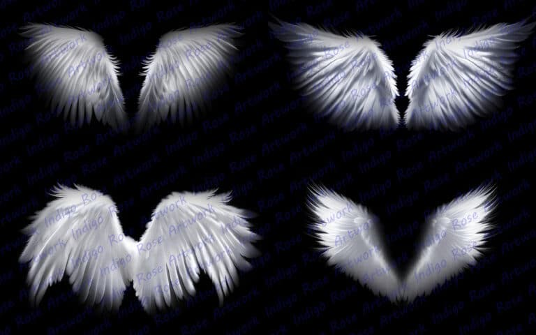 white angel wing overlays