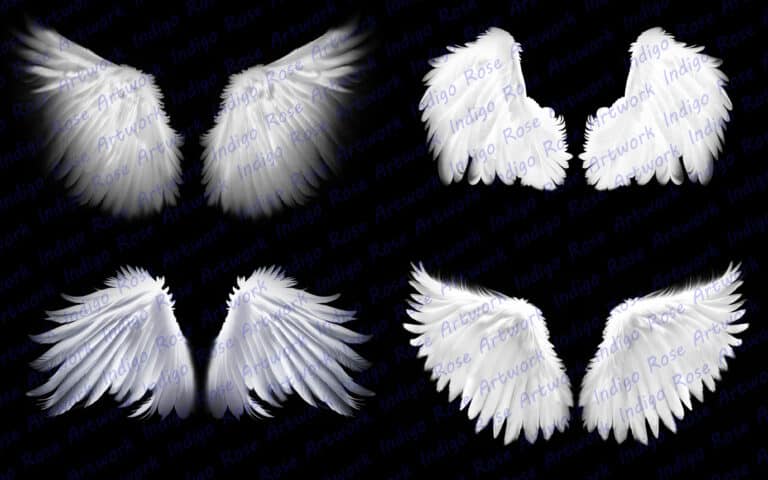 white angel wing overlays