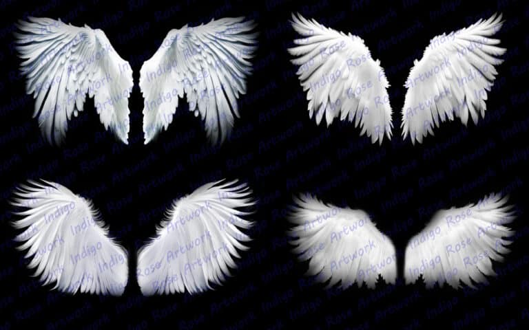white angel wing overlays