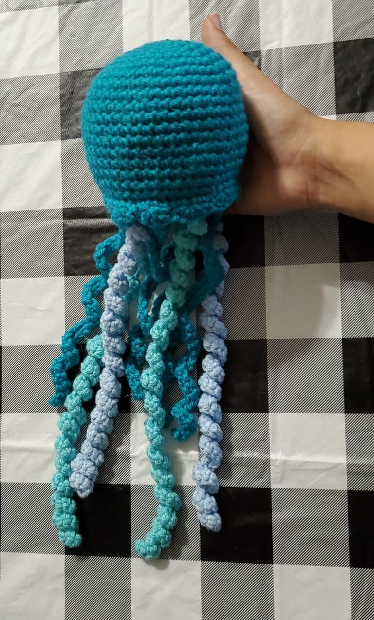 Jellyfish Top photo