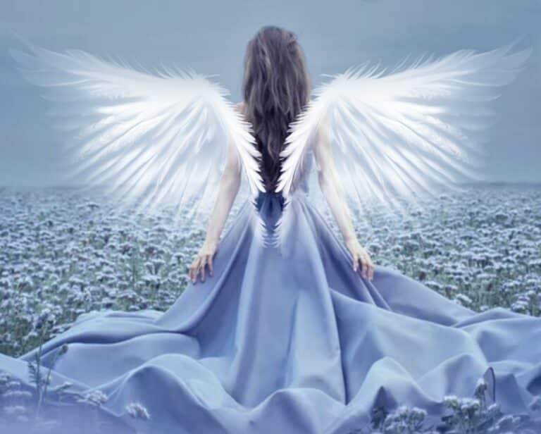 white angel wing overlay on photo of model