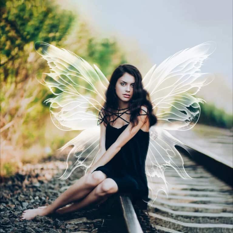 fairy wing overlay on model