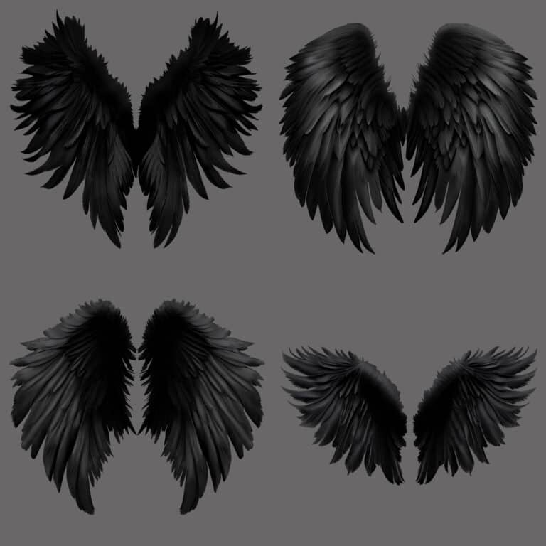 examples of the angel wings