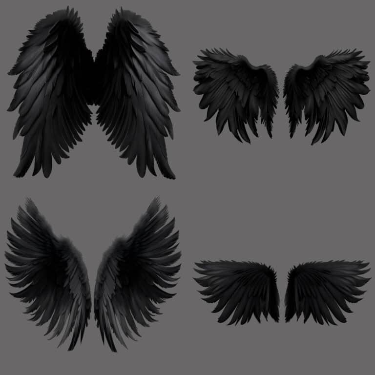 examples of the angel wings