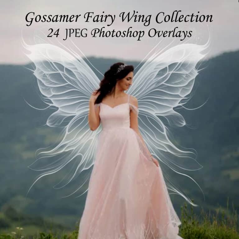 fairy wing overlay on model