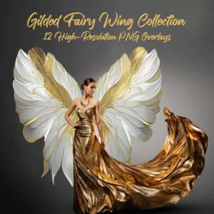 fairy wing overlay on model