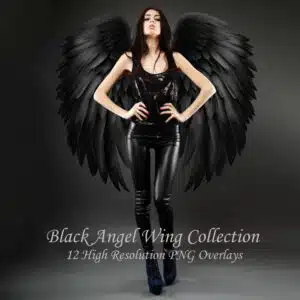 Black Angel wing overlay on model