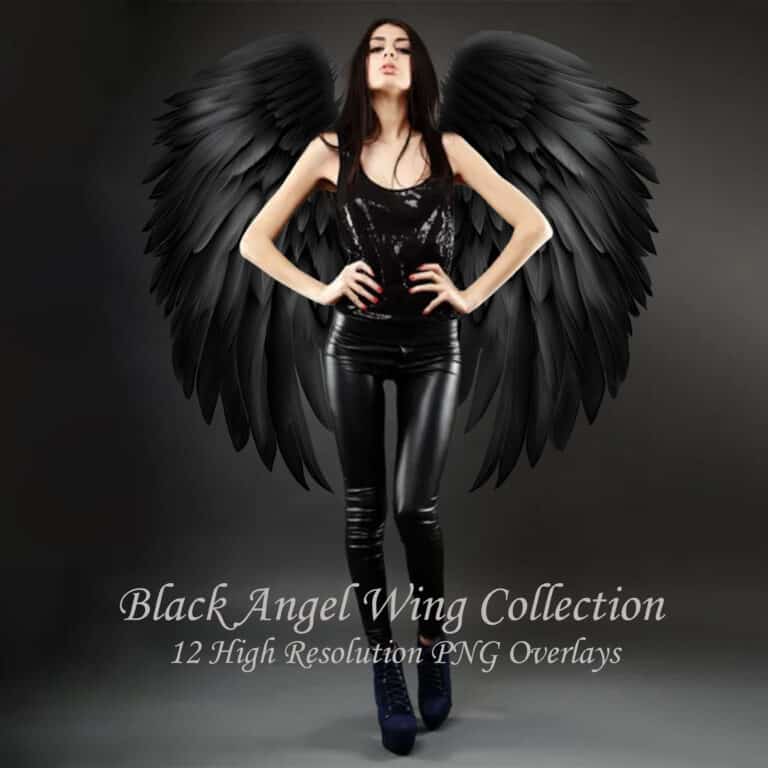 Black Angel wing overlay on model