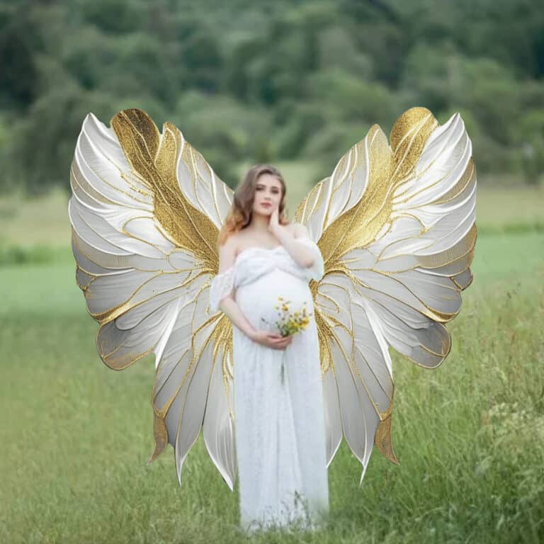 fairy wing overlay on model
