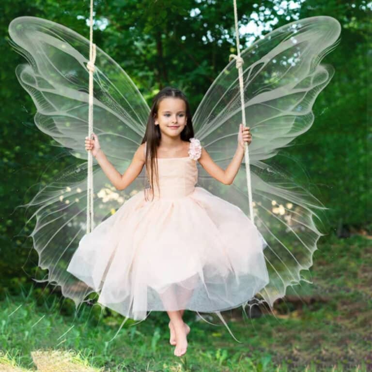 fairy wing overlay on model
