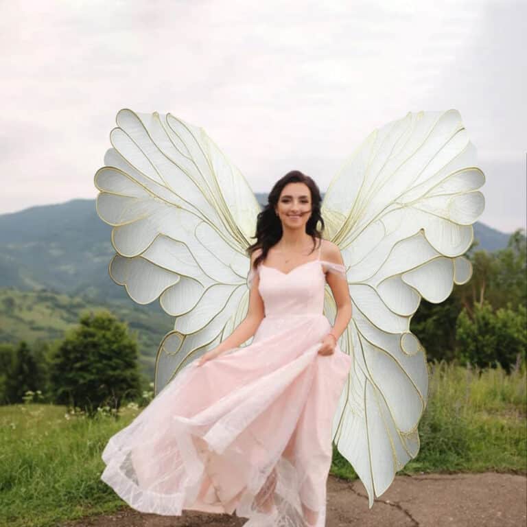 fairy wing overlay on model