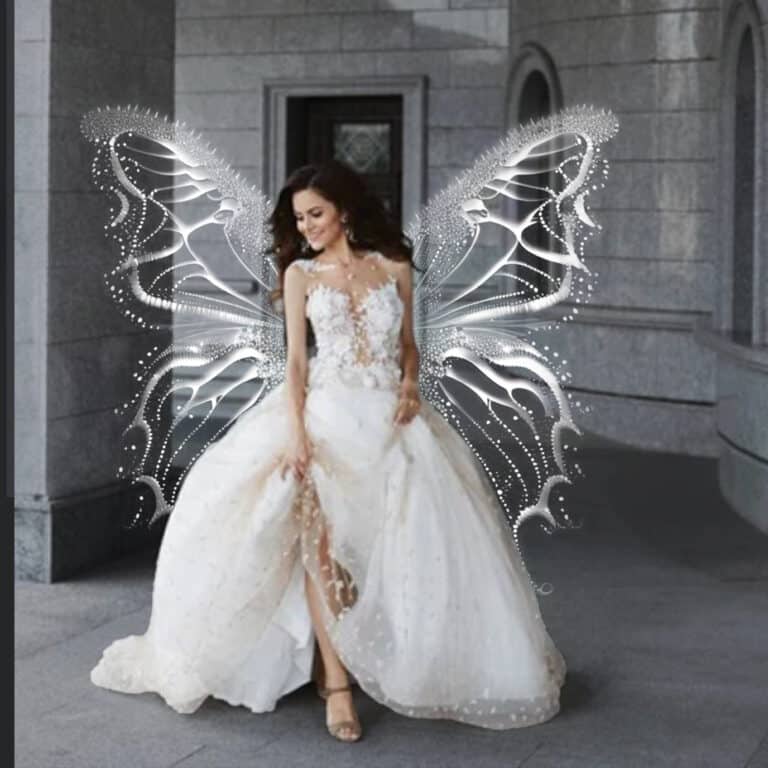 fairy wing overlay on model