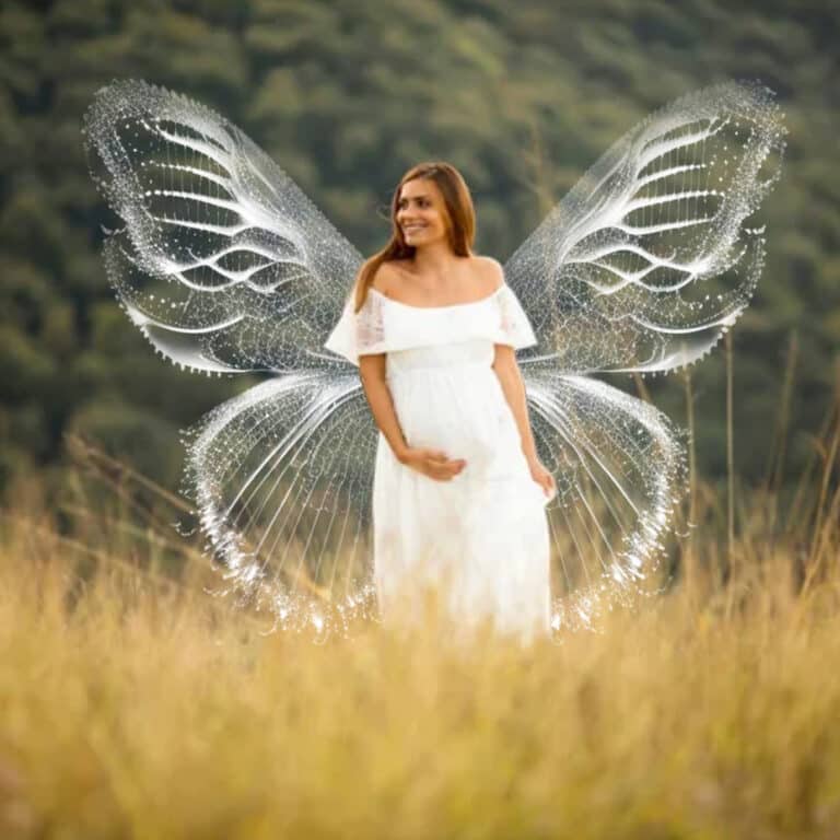 fairy wing overlay on model