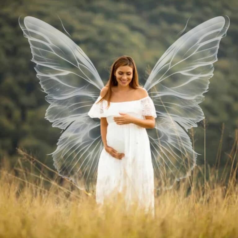 fairy wing overlay on model