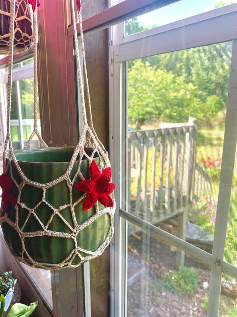 red lily 1