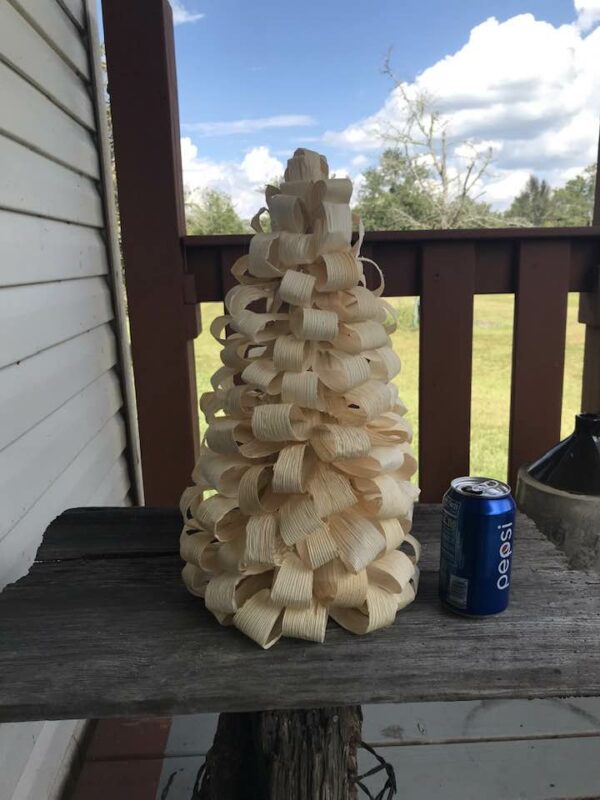 376256304 1378966749693268 7468124221561576086 n can large