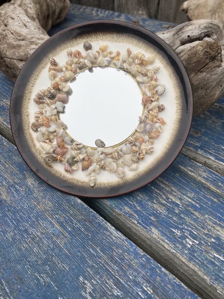 A beautiful plate with shells is a stunning addition to any home decor