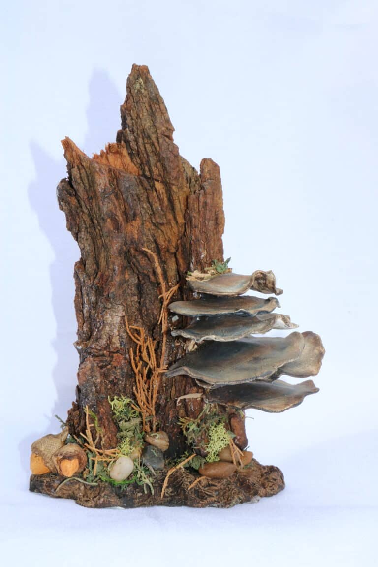 Turkey Tail mushrooms in ceramic on natural wood with natural elements 12" tall. $75.00