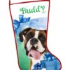 Buddy on presents background