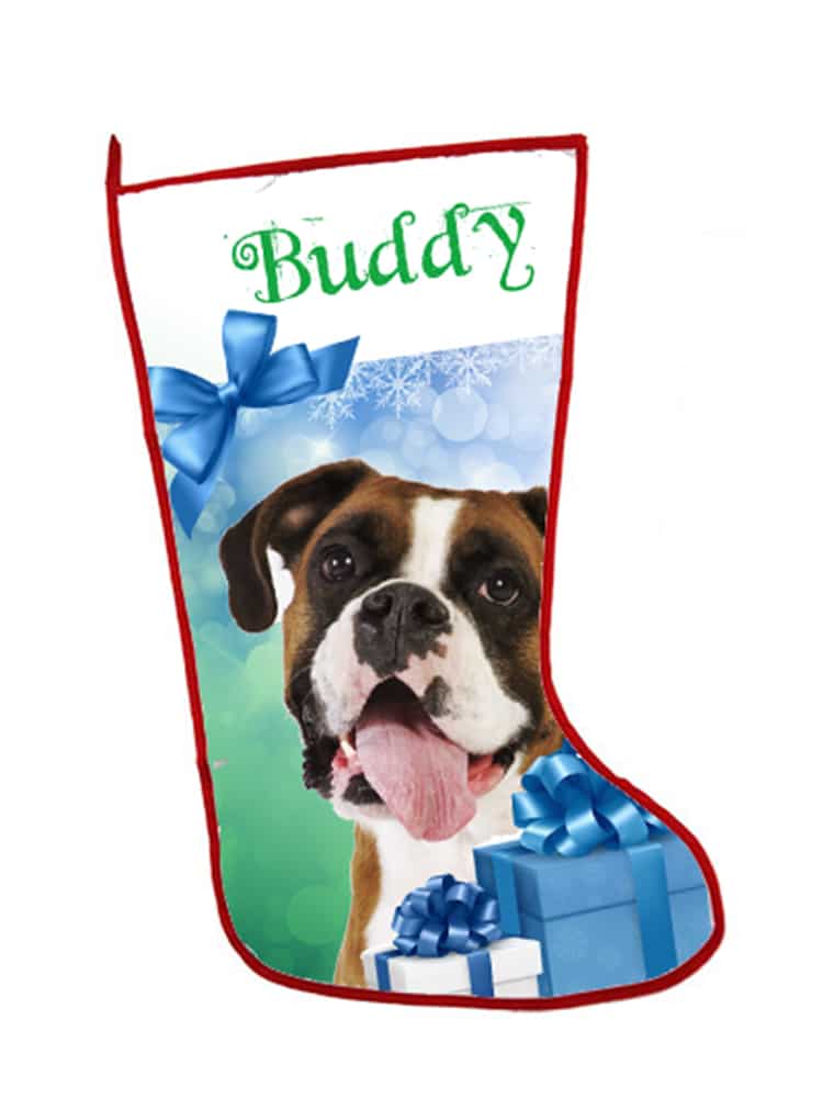 Buddy on presents background