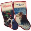 Pet Holiday Stocking