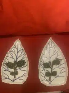 SeedlingPlatesFlat 1
