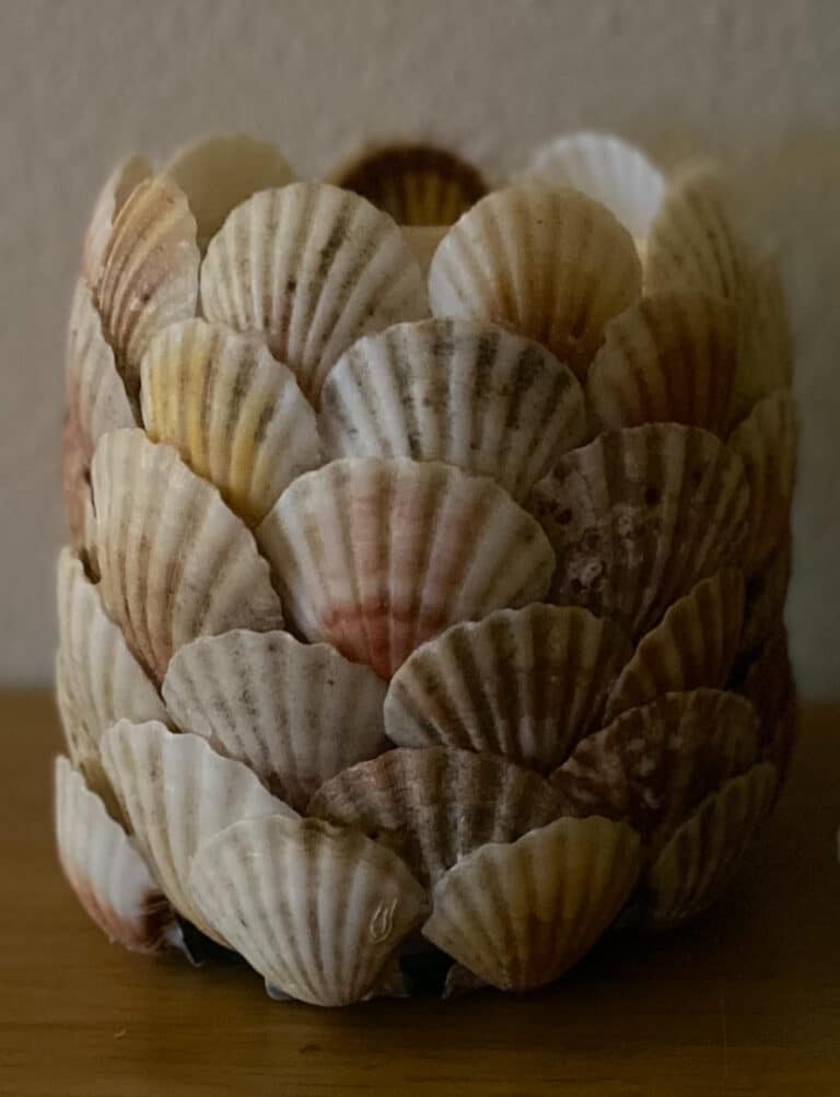 IMG 7551