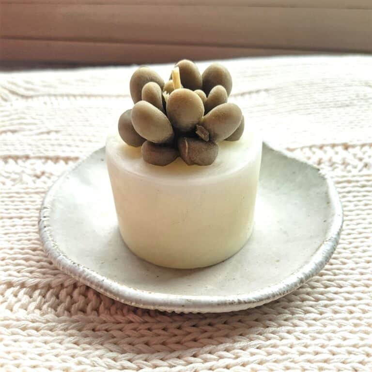 Echeveria Succulent Candle
