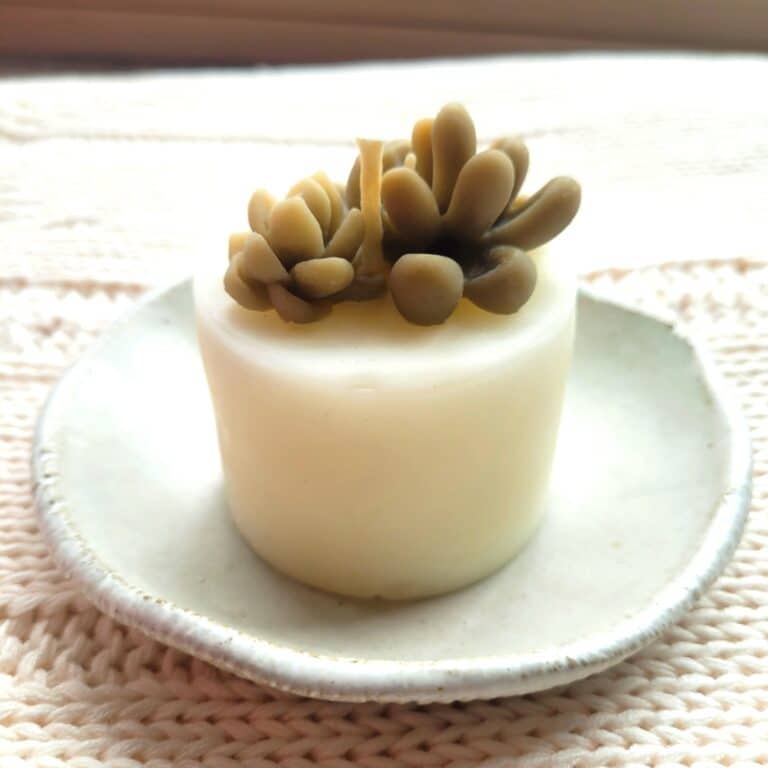 Small Cluster Succulent Candle