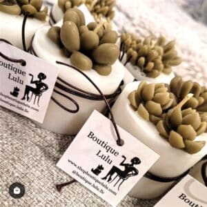 Succulent Candles