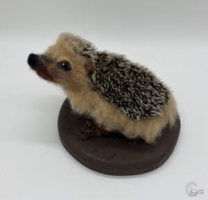 needle felt European hedgehog