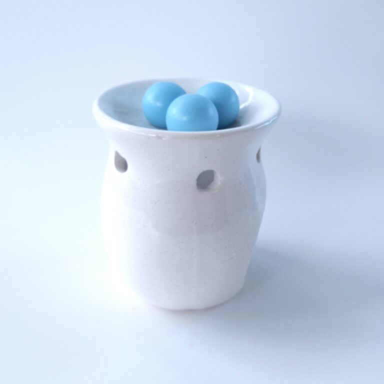 Fresh Threads Clean Laundry wax melts @thesmellysacks 1