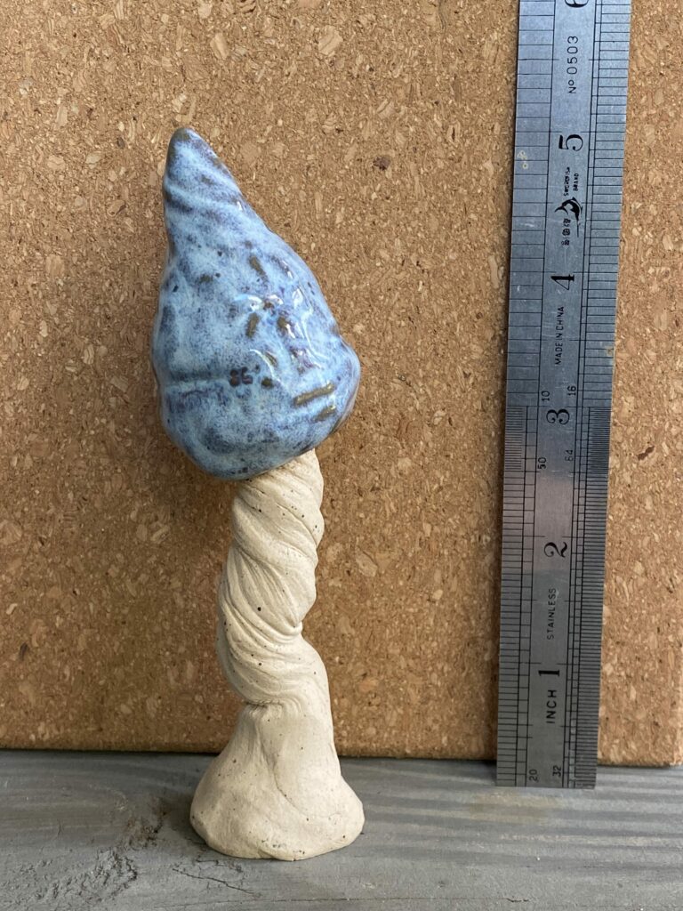 Snowy Mushroom