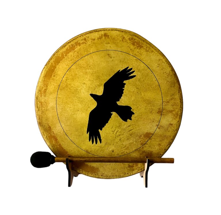 crow 20230908 130101