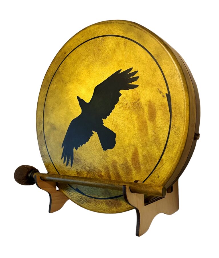 crow 20231026 165647