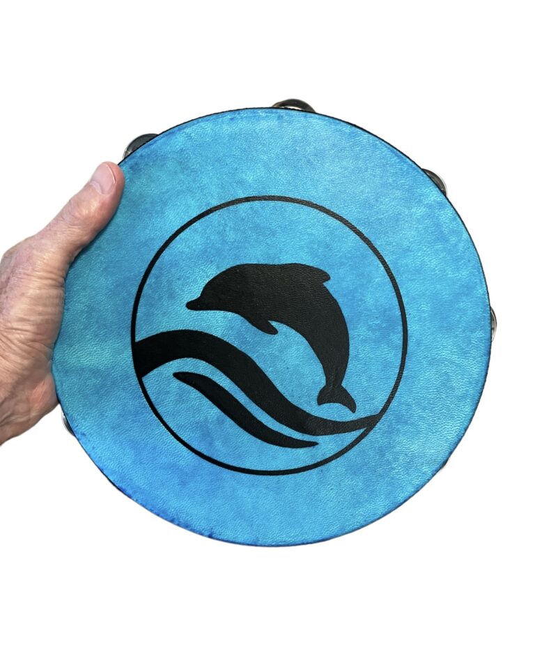 dolphin 20240519 142408