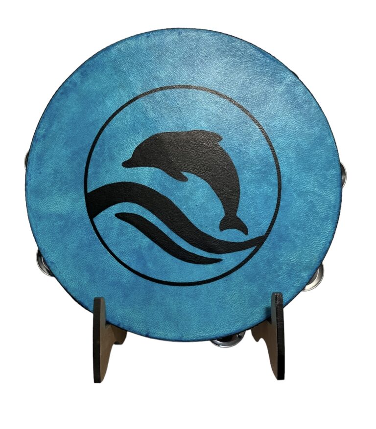 dolphin 20240519 142622