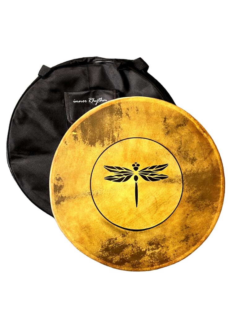 dragonflyb 1