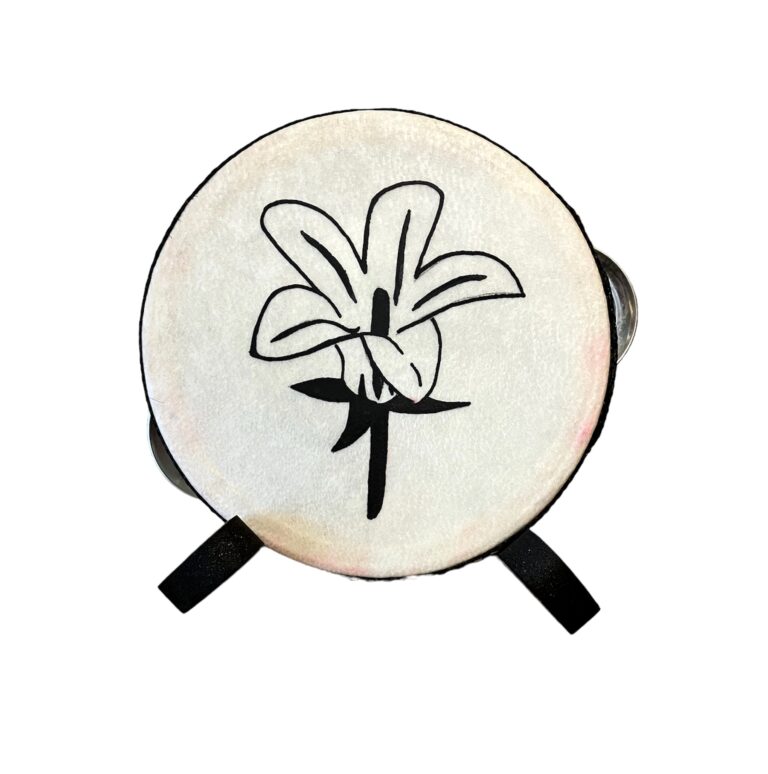 mini tambourine 20231105 105132