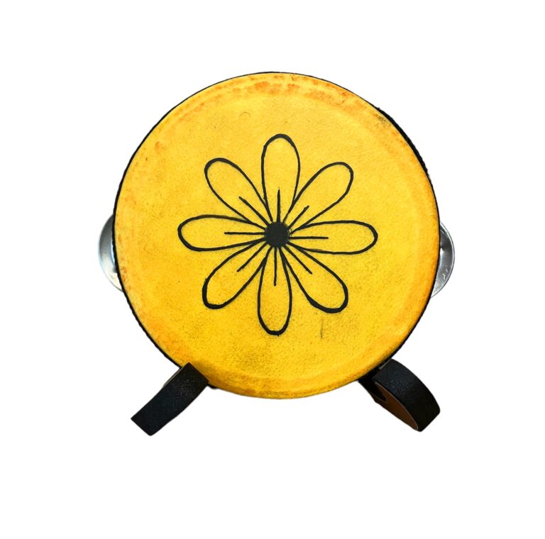 mini tambourine 20231105 105229