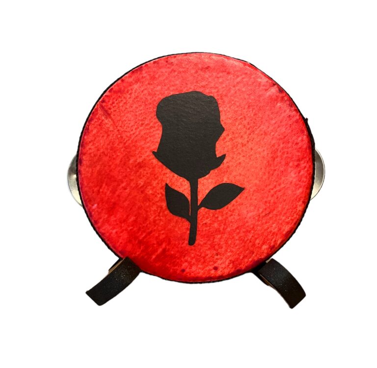 mini tambourine 20231105 105251