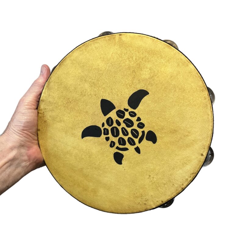 turtle 20230527 132832