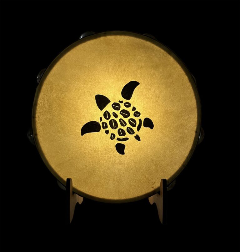 turtle 20230709 121900