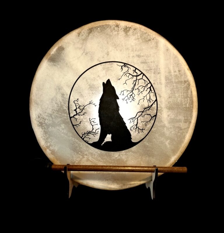 wolf 20231129 121139