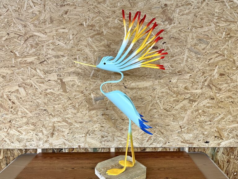 Hairy Heron 4