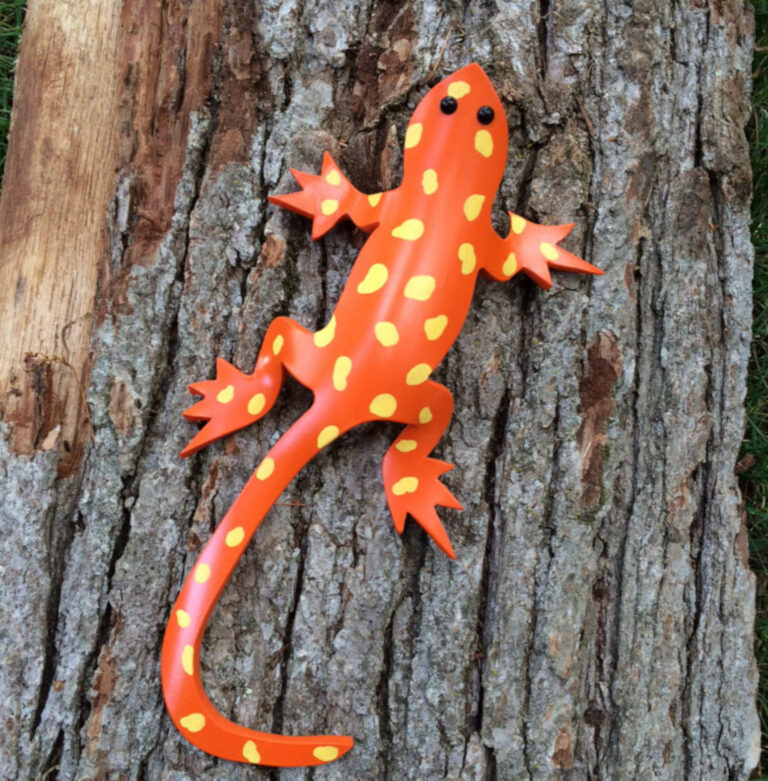 Salamander Orange 2 MCM